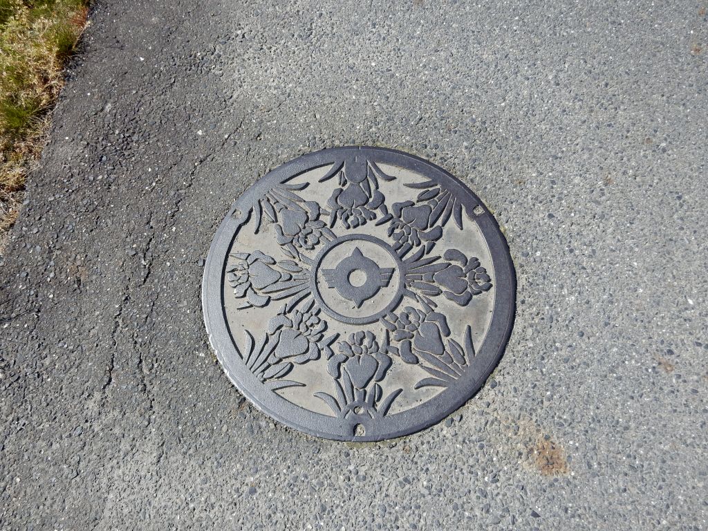 Manhole in Chuzu Town
