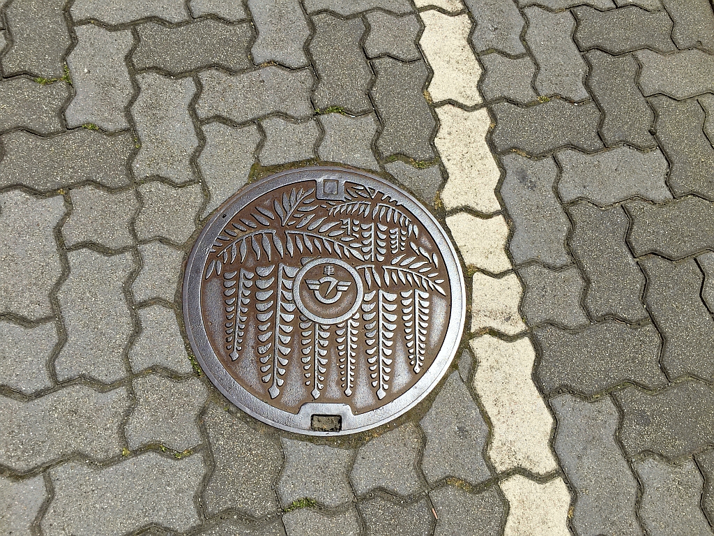 Manhole in Fujisawa-shi