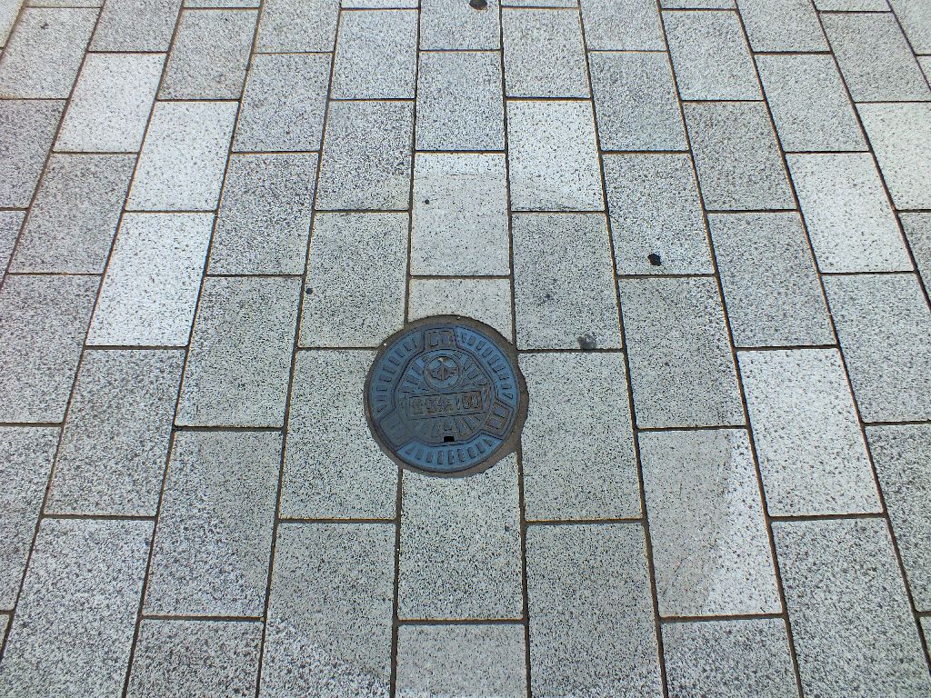 Manhole in minami-ashigara City