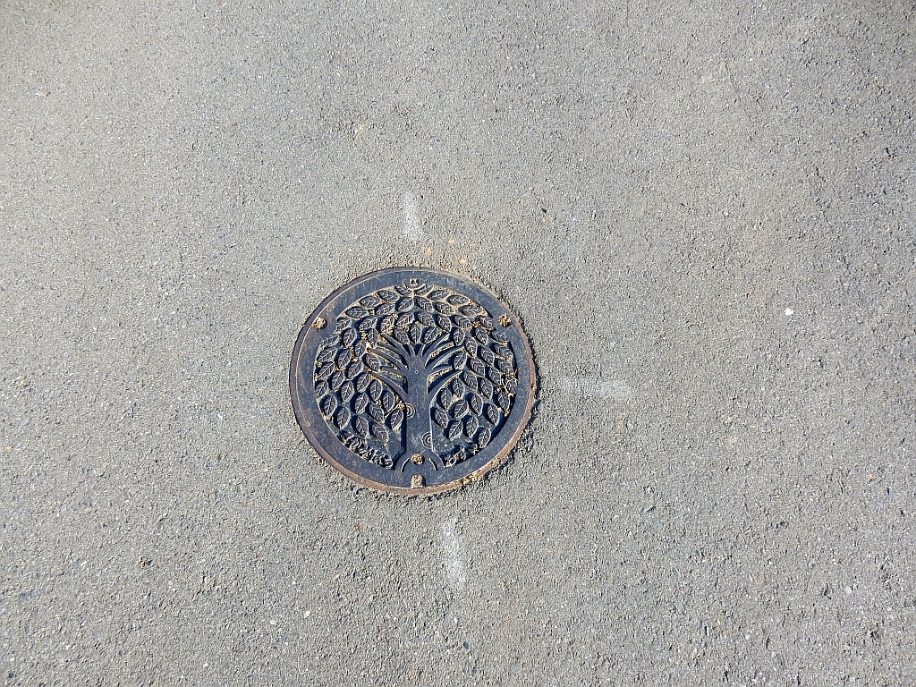 Manhole in Sagamihara-shi