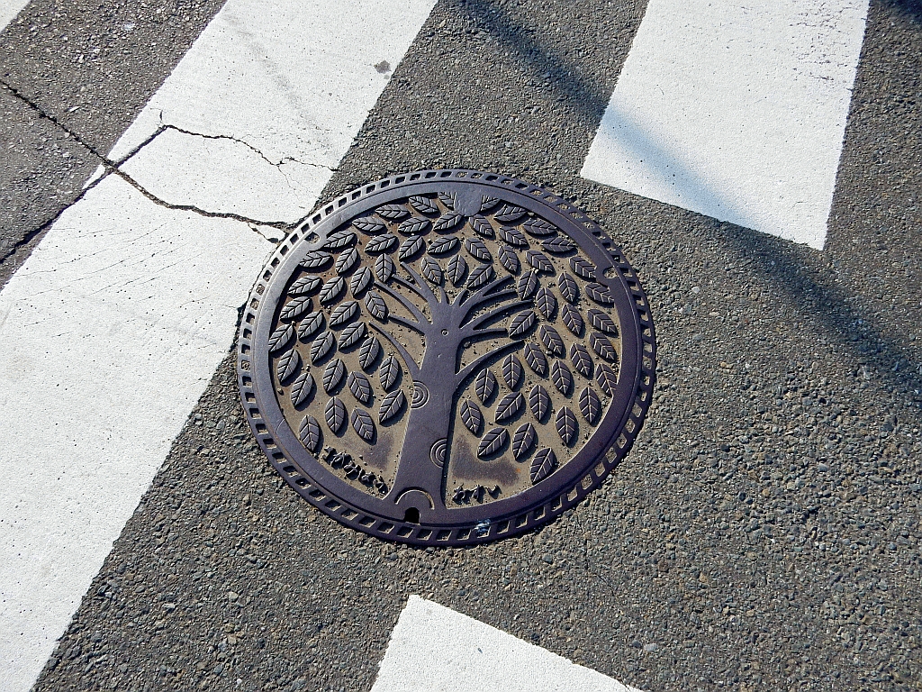 Manhole in Sagamiharashi