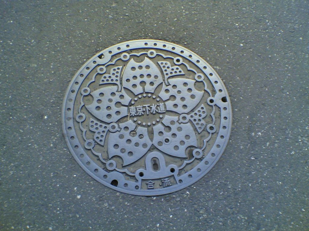 Manhole of Tokyo
