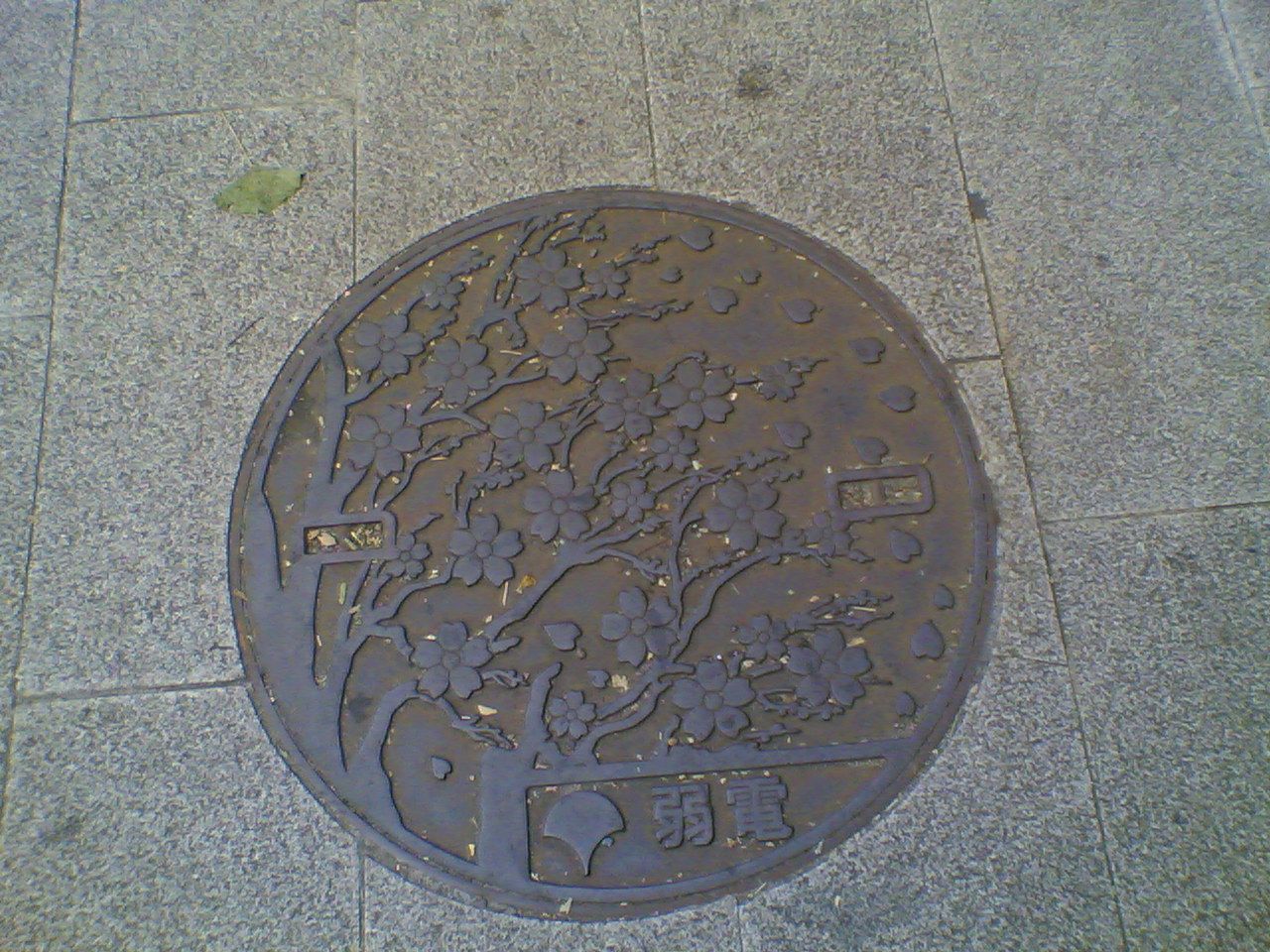 Manhole in Ueno Park, Tokyo