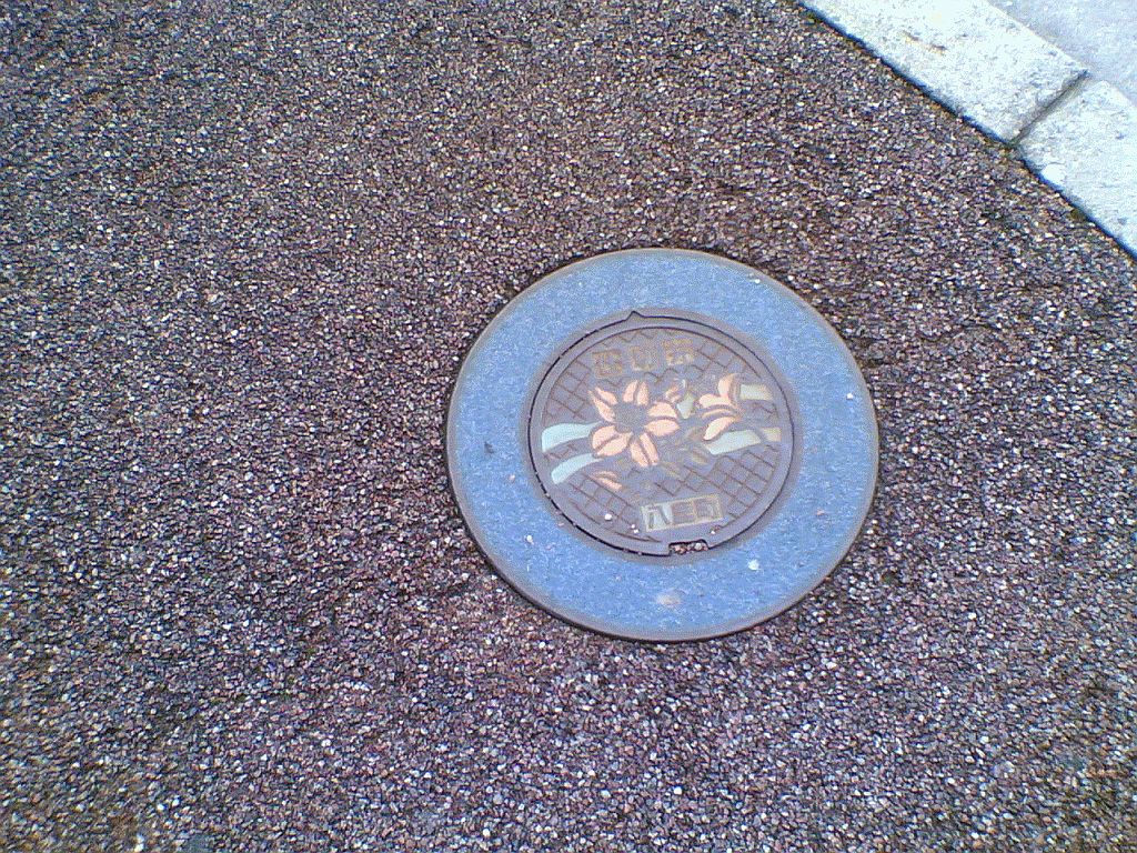 Manhole in Youka District of Yabu-shi