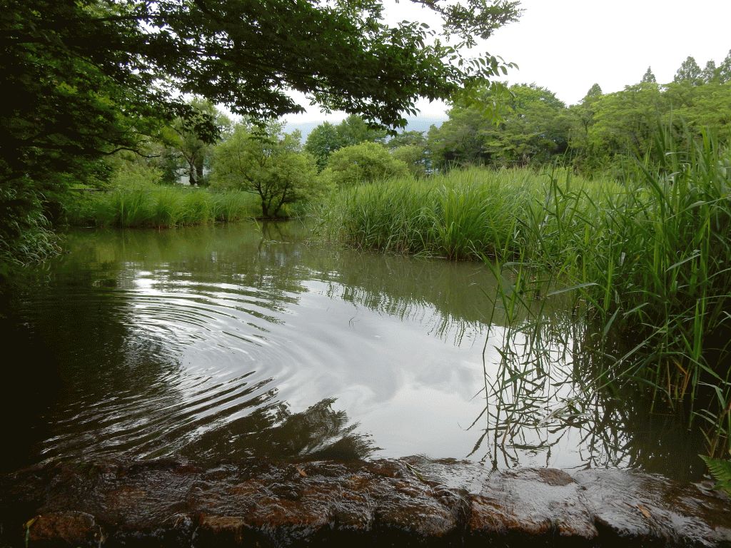 三島池