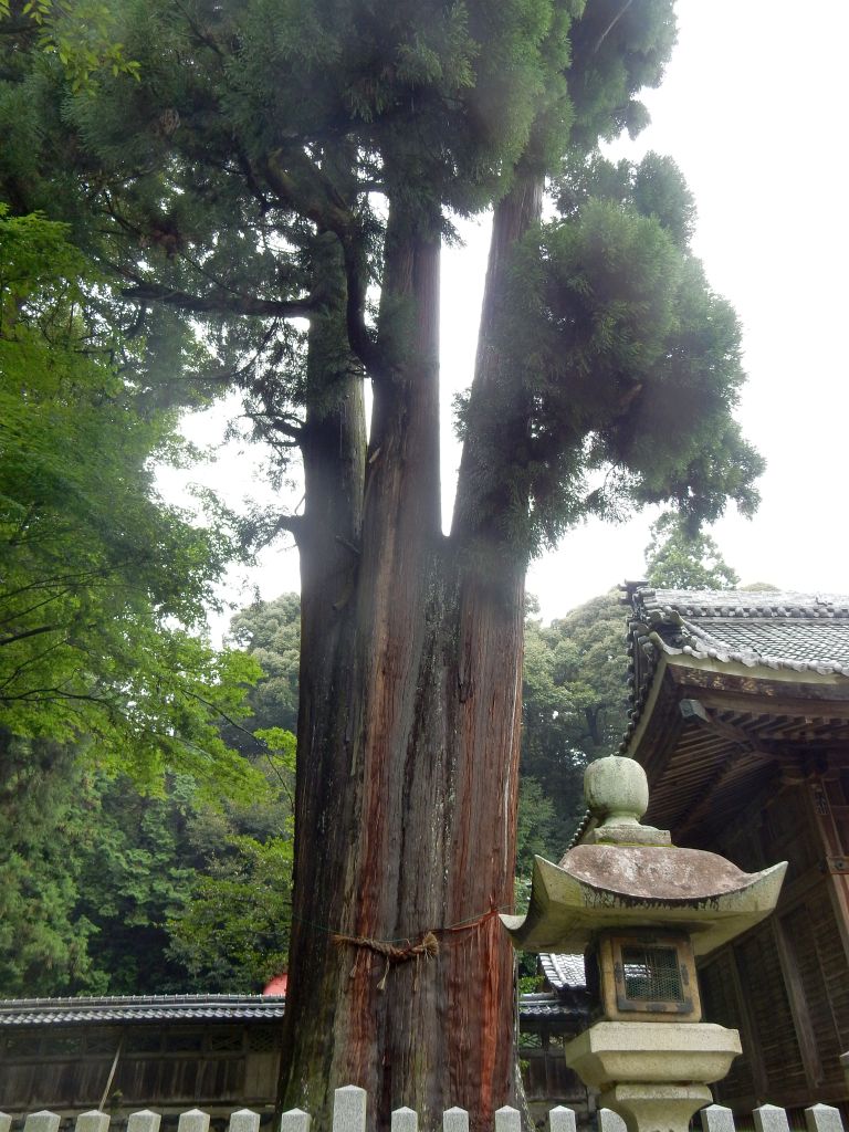 伊富岐神社