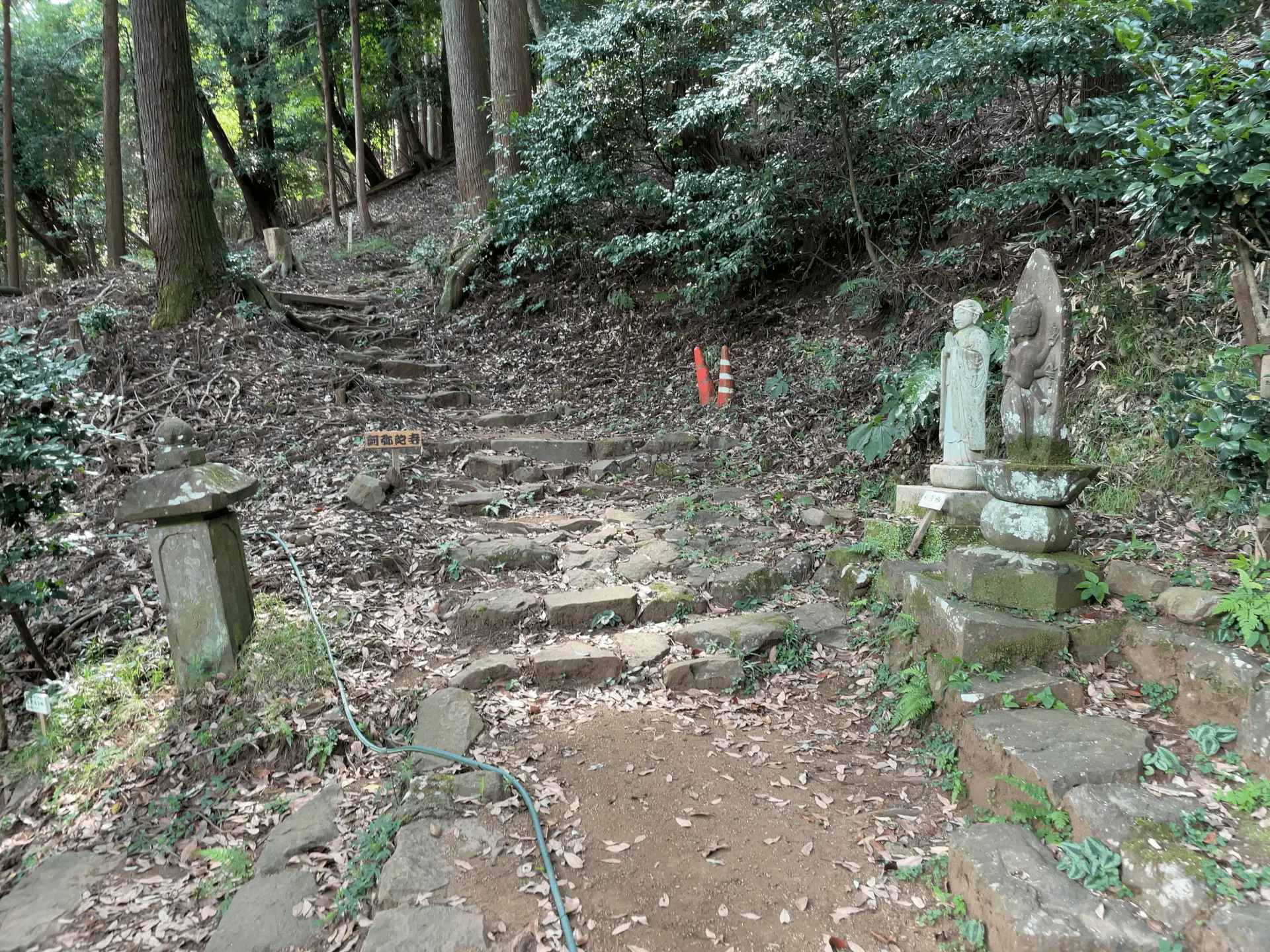 阿弥陀寺