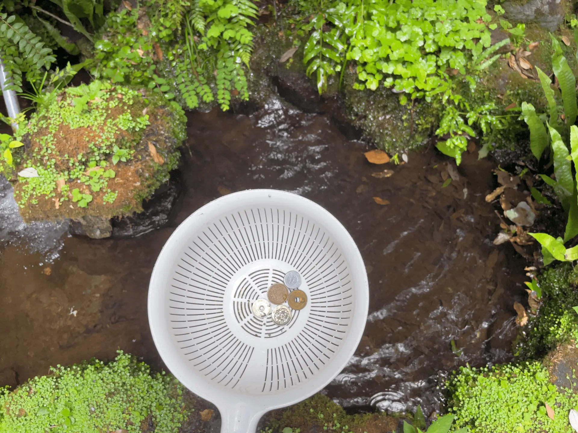 深澤銭洗弁財天