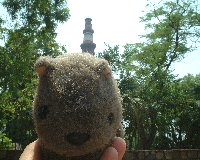 At Qutub Minar